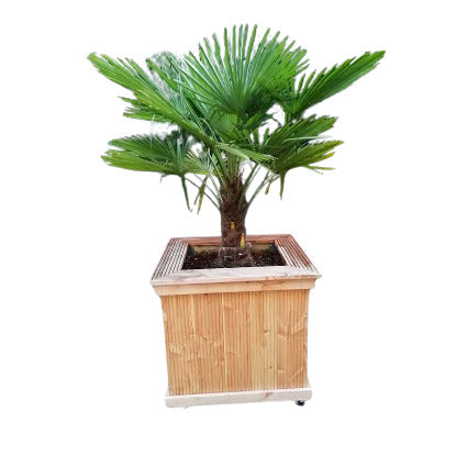 Square larex wooden planter