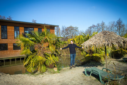 Trachycarpus fortunei 'Royal' - Königliche Fächerpalme